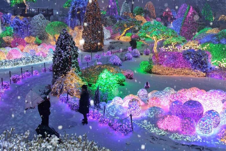 Disfrutando del festival de luces LED