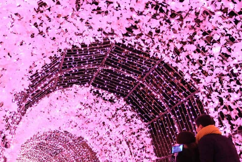 Festival de luces LED en el Jardín de la Calma de la Mañana