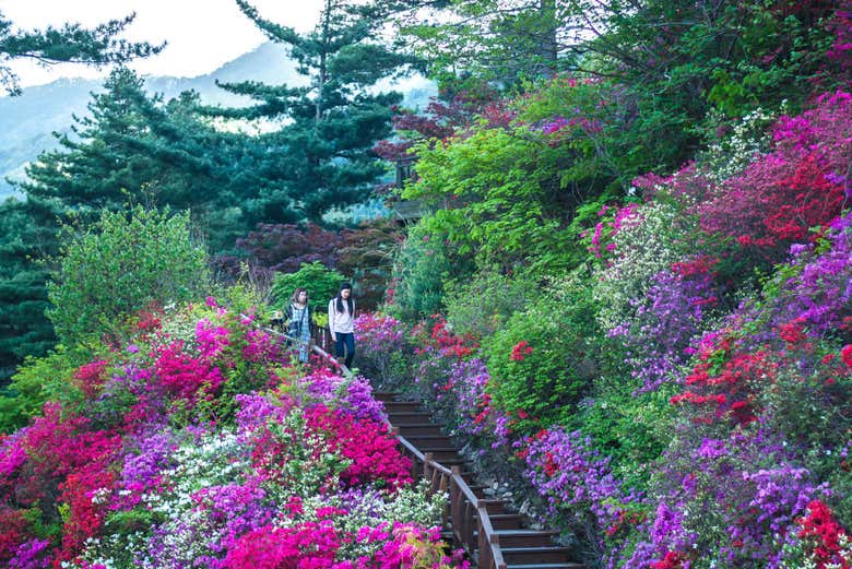 Paseando por el jardín