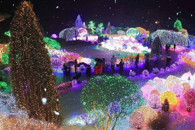 El festival de luces LED os dejará sin palabras