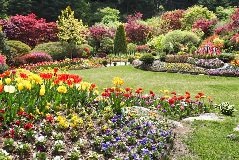 Recorreremos el Jardín de la Calma de la Mañana