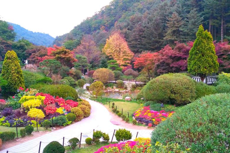 Jardin du matin calme 