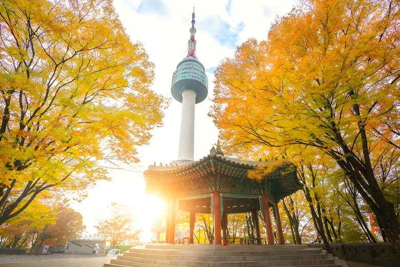 Mirad la Torre desde abajo