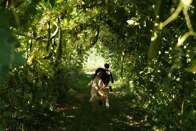 Disfrutando de la excursión a Pocheon