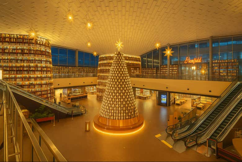Vue panoramique sur Starfield Library