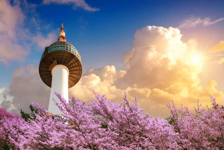 La vista de la Torre en un atardecer