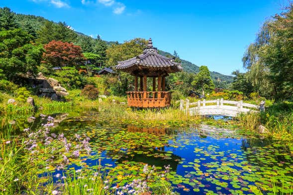 Petite France, île Nami + Jardin du Matin Calme