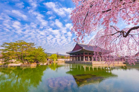 Visita guiada por el Palacio Gyeongbokgung