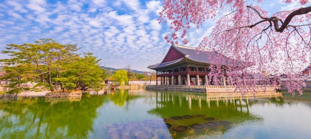 Visita guiada por el Palacio Gyeongbokgung