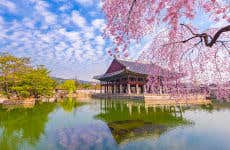 Visite guidée du Palais Gyeongbokgung