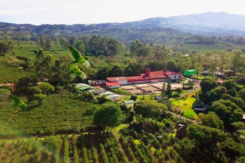 Vista aérea da Hacienda Doka