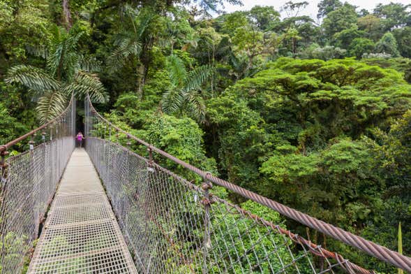 Ingresso do Mistico Arenal Hanging Bridges Park