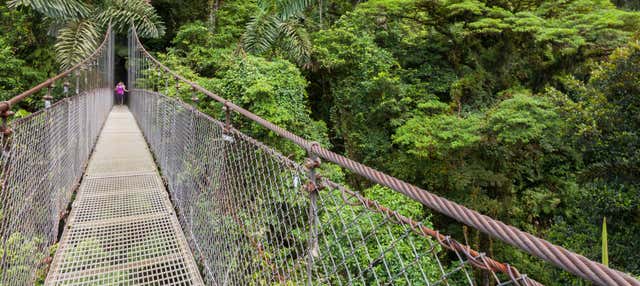 Billet pour le Mistico Arenal Hanging Bridges Park