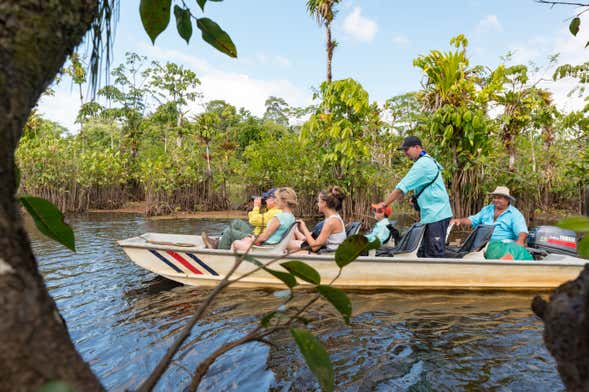 Excursion au sanctuaire naturel de Caño Blanco + Balade en bateau