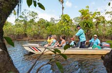 Excursión al Santuario de la Naturaleza Caño Blanco + Paseo en barco
