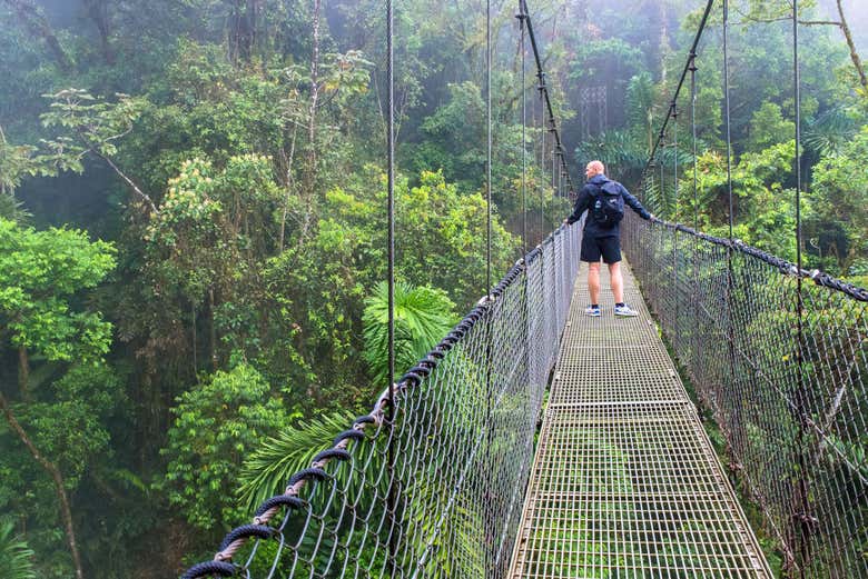 Admirando las vistas desde el puente