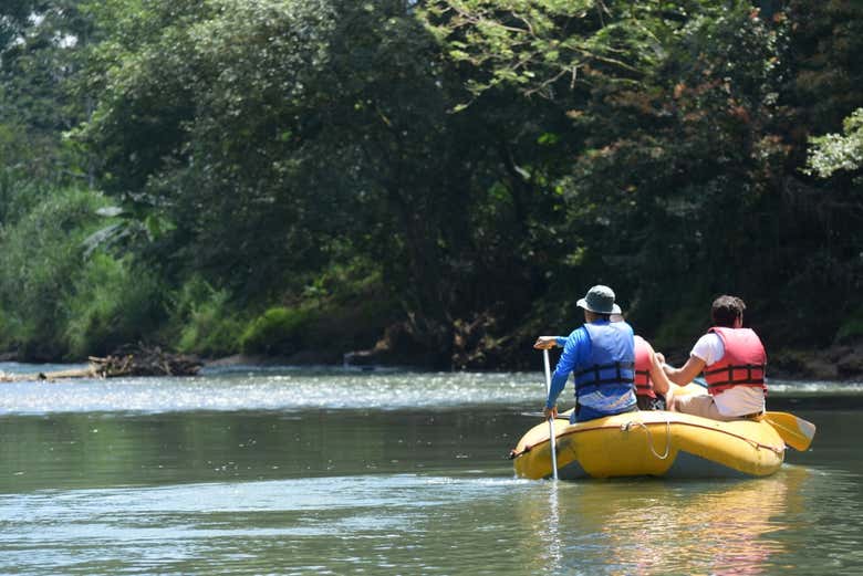 La abundante vegetación que se ve en el safari por el río Peñas 