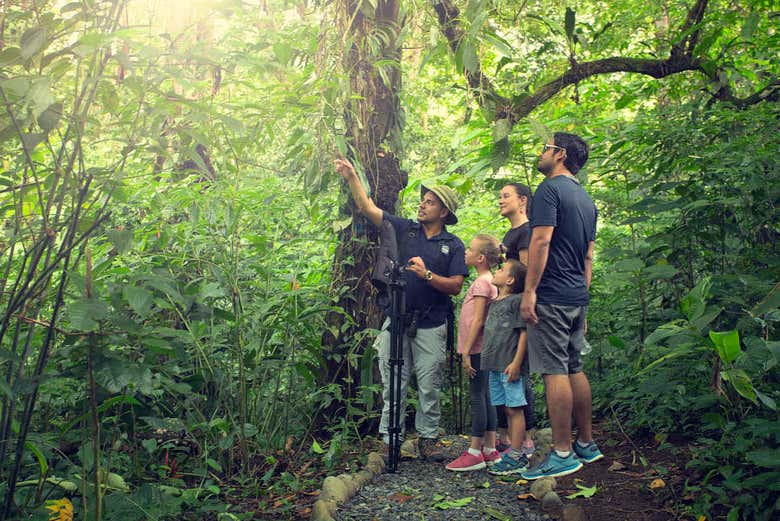 Searching for the world's slowest mammal