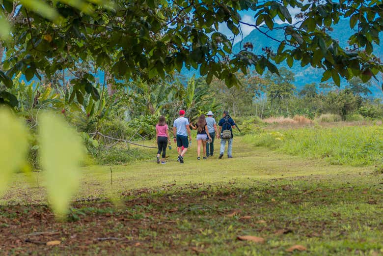 Enjoying the nature of La Fortuna