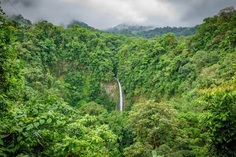 Jungle waterfall in La Fortuna