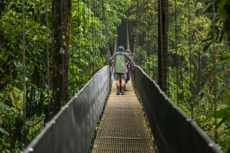 Puentes colgantes de Arenal