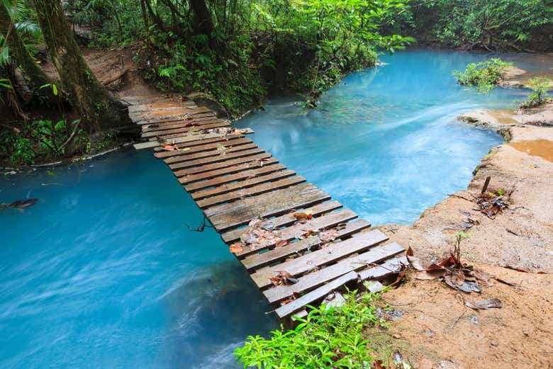 Cruza el puente del rio Celeste y entra en la jungla