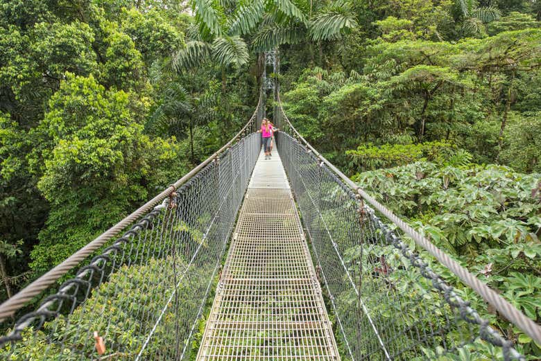 Puentes colgantes por la selva