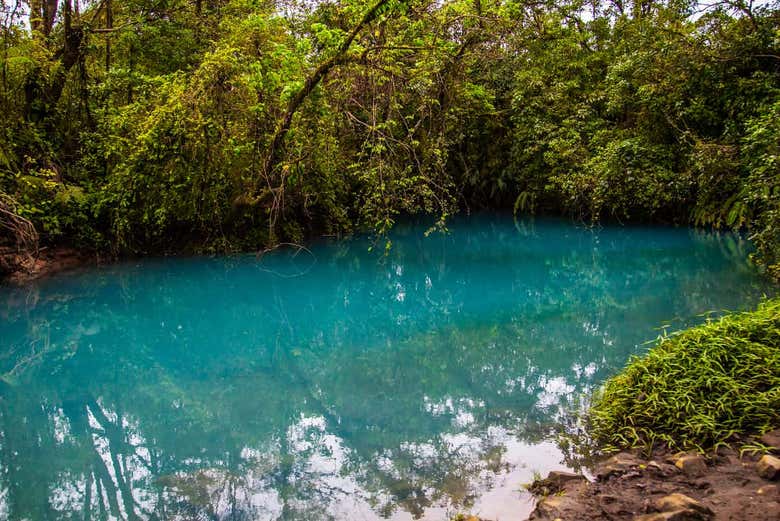 El río Celeste funciona como espejo y refleja la vegetación de s