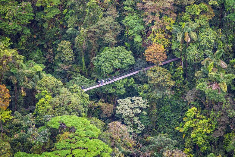 ¡Qué pequeño parece!