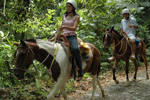 Passeio a cavalo à Catarata La Fortuna