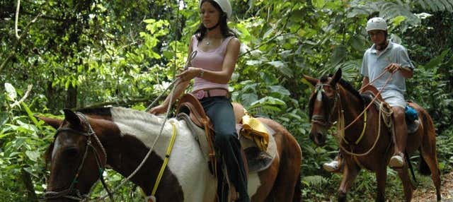 Balade à cheval jusqu'à la cascade de La Fortuna
