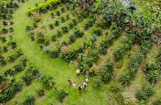 Tour del café y el chocolate