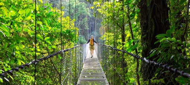 Tierra gusano Adversario Tour por los puentes colgantes de Arenal - Civitatis.com