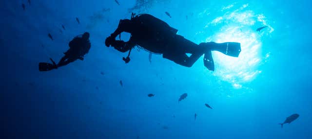 Buceo en la Isla del Caño