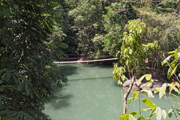 1 or 2-Day Tour of Río Agujitas Farm