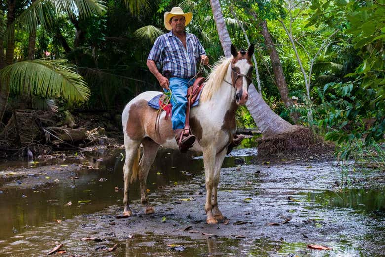 Equitación en los bosques de Drake