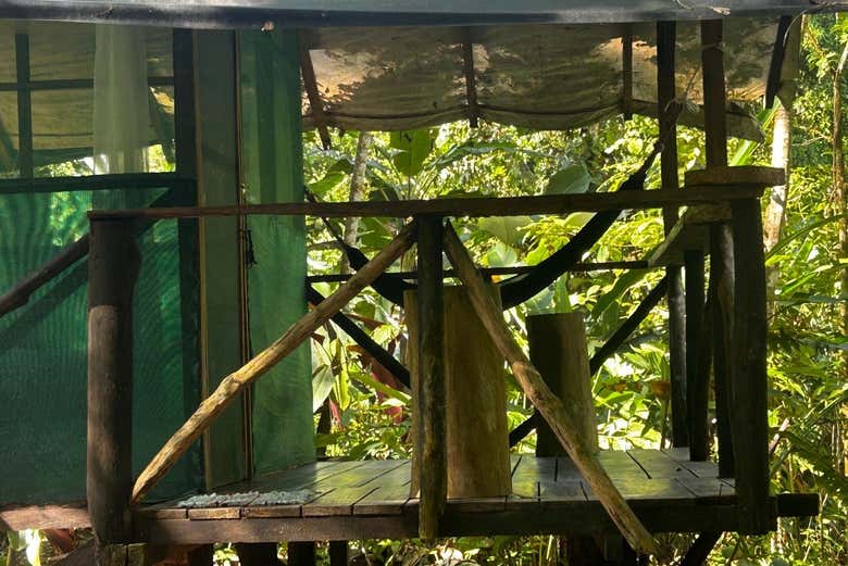 Les cabanes ont une vue sur la jungle et la rivière