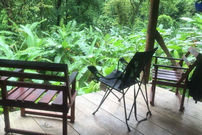 Vue sur le jardin du domaine