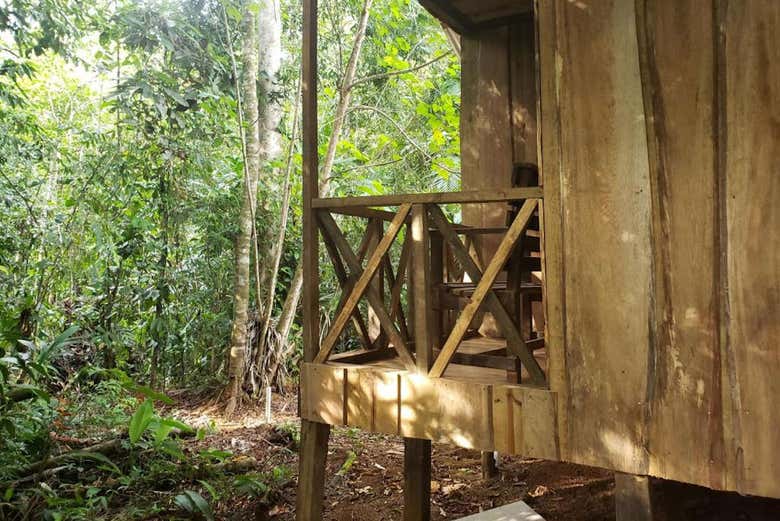 La finca Río Agujitas