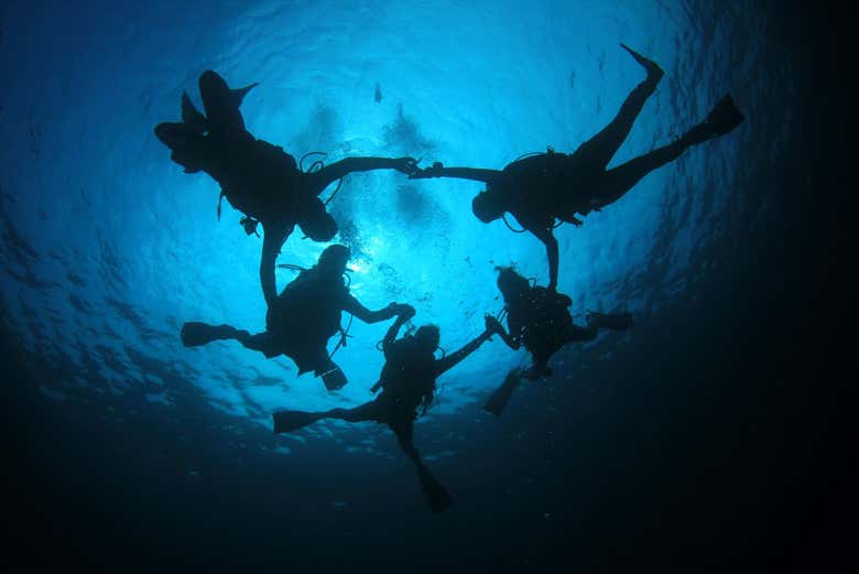 Aprendiendo todos juntos