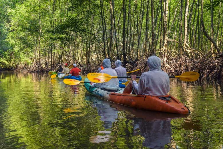 En kayak por los manglares de Sierpe, Costa Rica