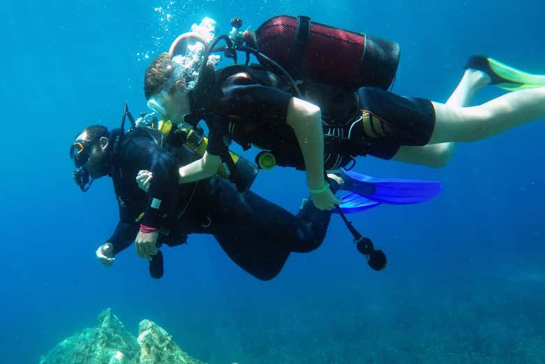 Estaréis acompañados en todo momento