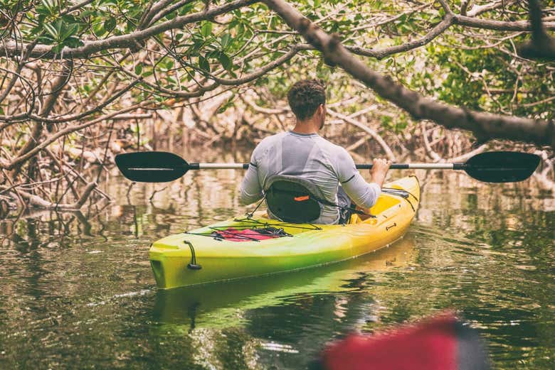 Remaremos en kayak junto a los manglares