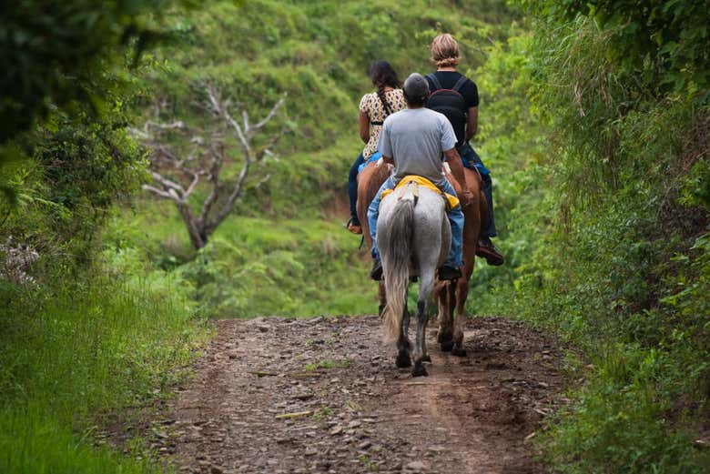 Paseo a caballo por los bosques de Drake
