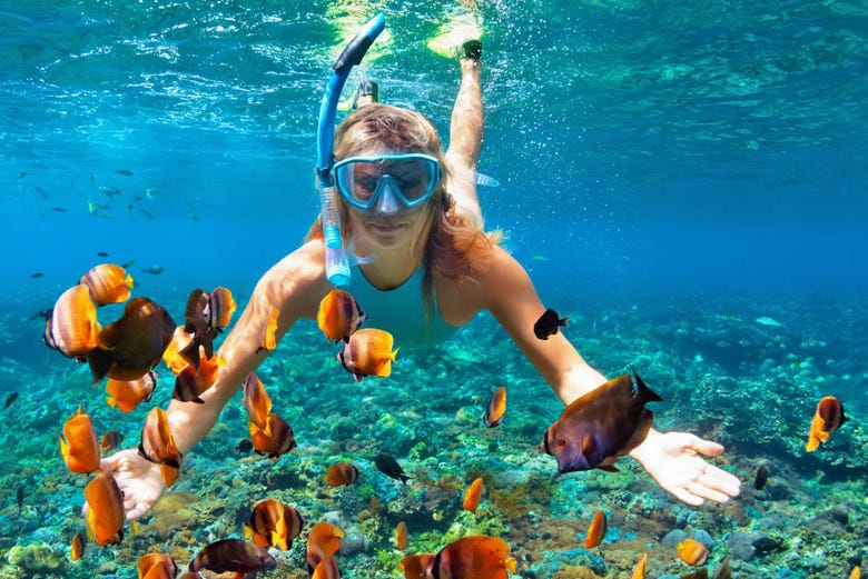 Snorkelling with tropical fish around Isla del Caño