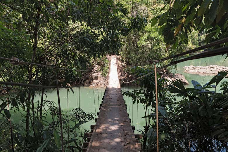 El puente de la finca 