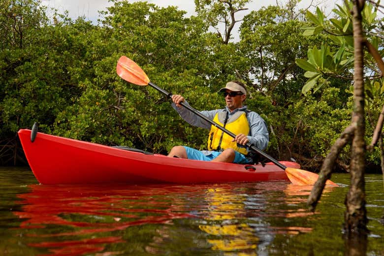 Paddling between the Sierpe River mangroves