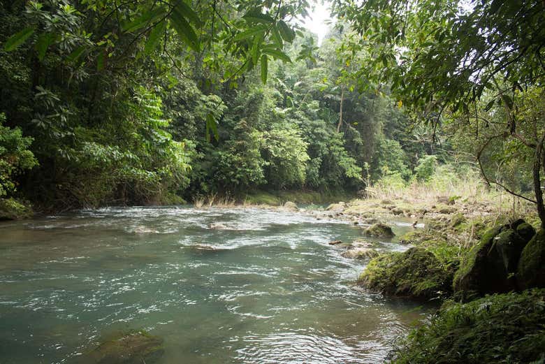 Aguas tranquilas del río Agujitas