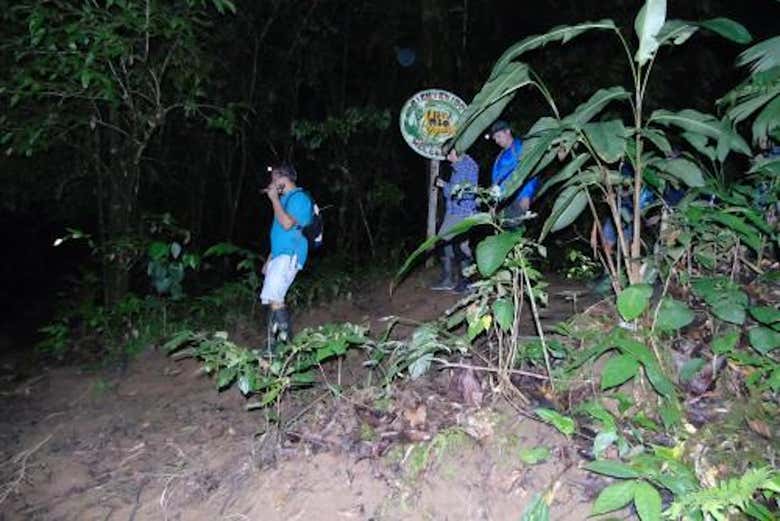 Durante l'itinerario serale nella giungla