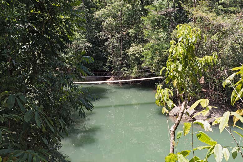 Vistas del río Agujitas